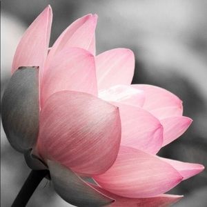 Meet your Posher, Dana!